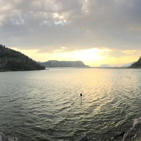 Limon Dalyan *
