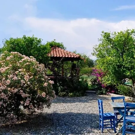 Limon Dalyan Villa *