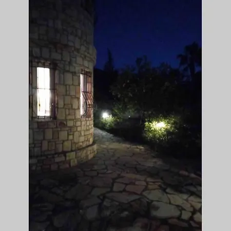 Limon Dalyan Villa *